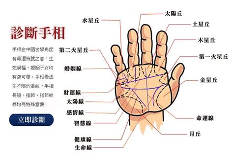 掌心十字紋|掌纹中的十字纹讲解 十字纹手相算命图解